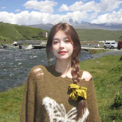 打雀英雄传